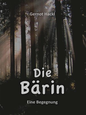 cover image of DIE BÄRIN